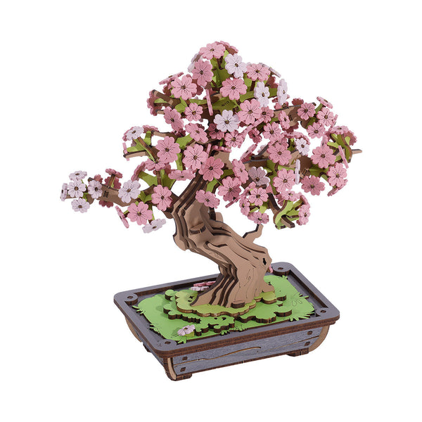Two Weeks: Sakura Bonsai Wooden Model Kit, photo 7 of 8