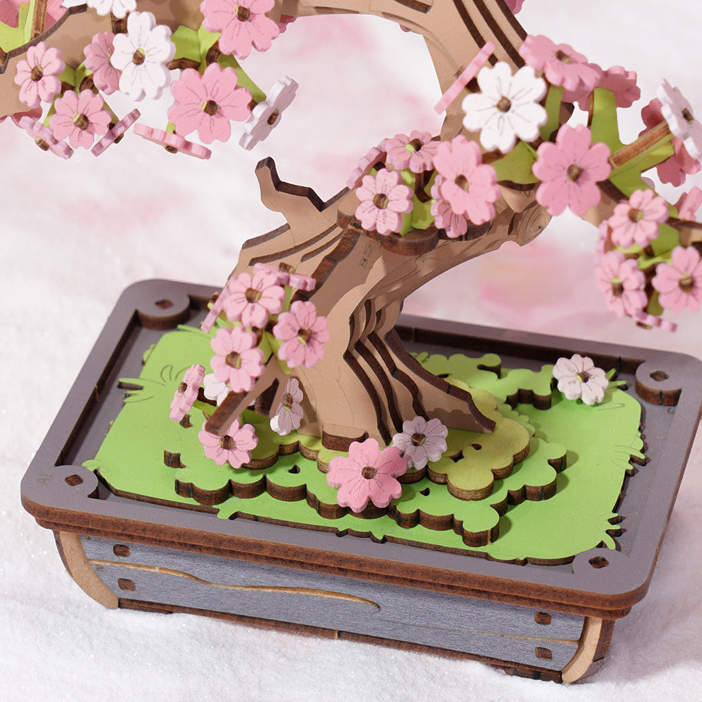 Two Weeks: Sakura Bonsai Wooden Model Kit, photo 5 of 8