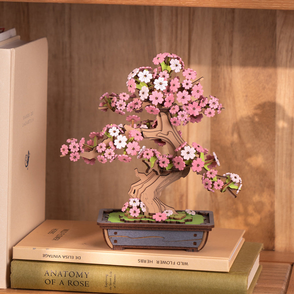 Two Weeks: Sakura Bonsai Wooden Model Kit, photo 3 of 8