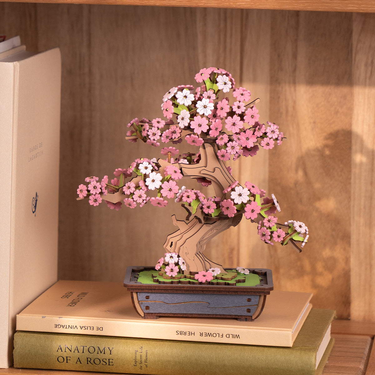 Two Weeks: Sakura Bonsai Wooden Model Kit, photo 3 of 8