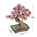 Two Weeks: Sakura Bonsai Wooden Model Kit, photo 2 of 8