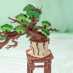 Evergreen: Pine Bonsai Wooden Model Kit, photo 5 of 7