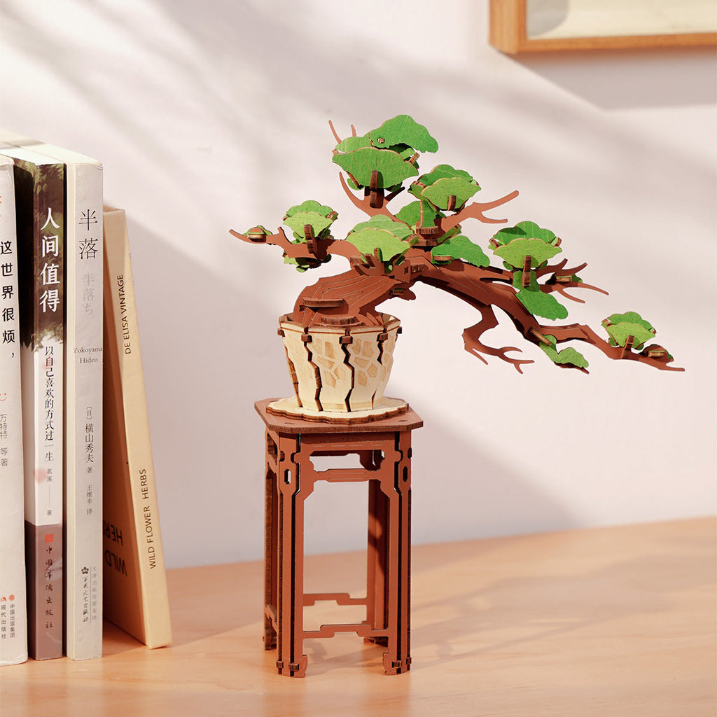 Evergreen: Pine Bonsai Wooden Model Kit, photo 2 of 7