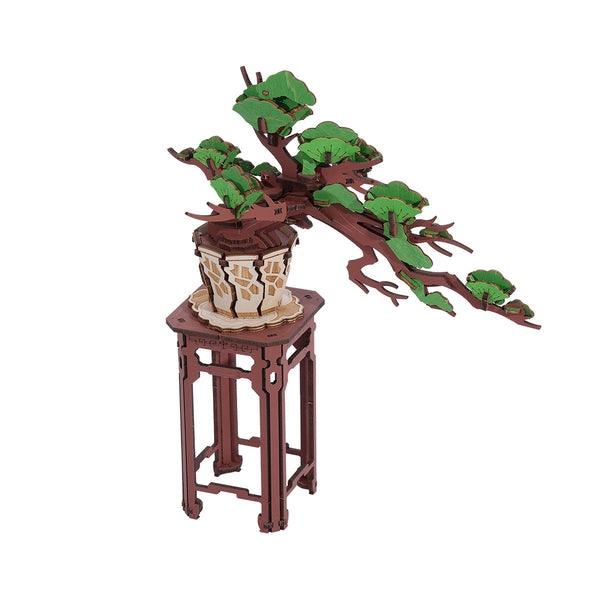 Evergreen: Pine Bonsai Wooden Model Kit, photo 7 of 7